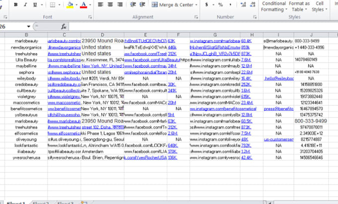 do web research, logo desing and data entry for you