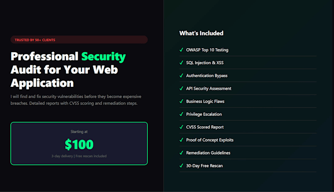 do a professional web application security audit