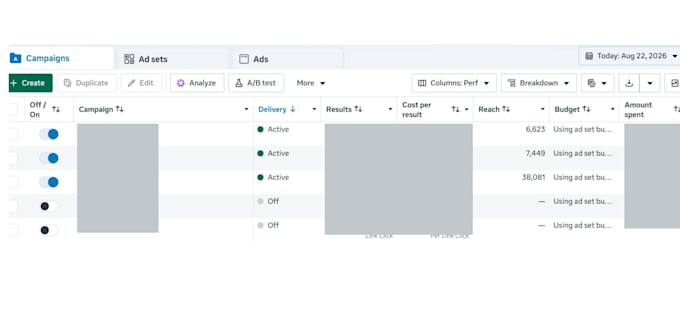 audit and scale your facebook ads