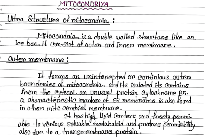 handwrite anything in beautiful and neat cursive handwriting