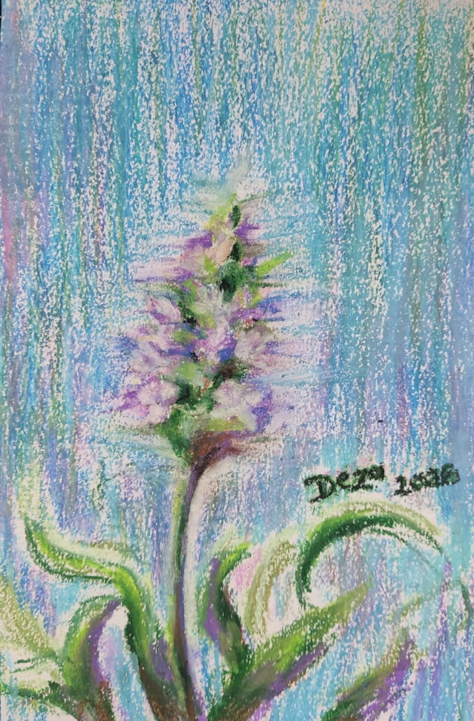 draw your favorite flowers
