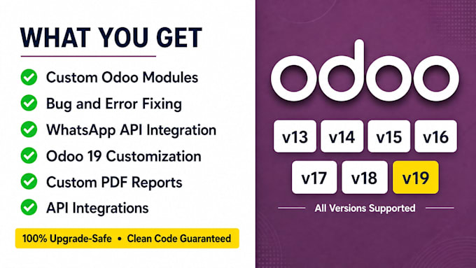 customize odoo 19 modules, fix bugs and integrate whatsapp with your erp