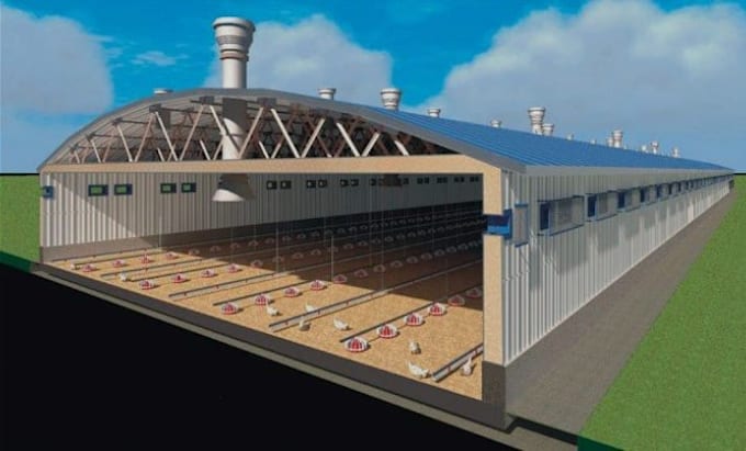 design 3d poultry farm, chicken house and broiler layer facility