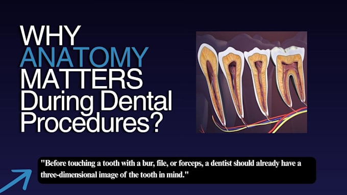 help with dental assignments and presentations