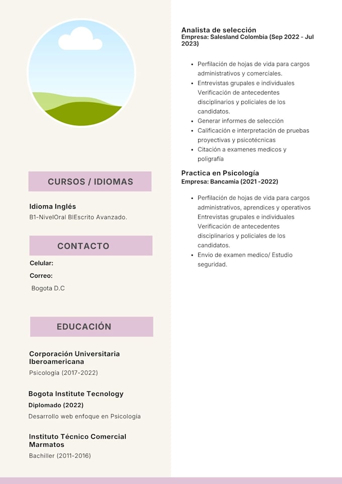 write a professional resume and cover letter