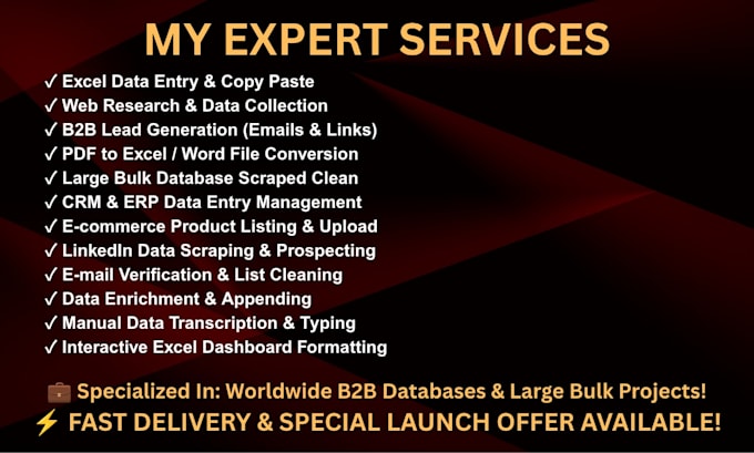 do expert excel data entry and web research