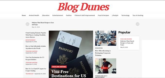 we will create a clean wordpress website for your blog