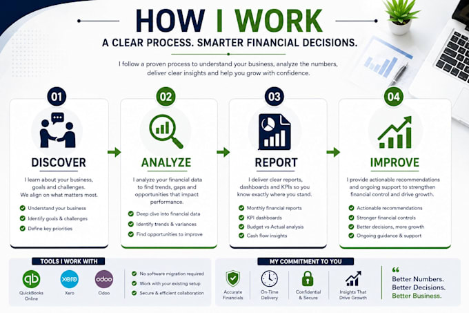 provide fractional cfo and financial controller services