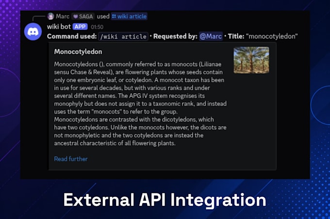 develop a custom discord bot for your server