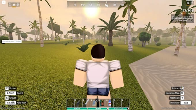 be your roblox game developer, game creation, scripting, map and gameplay system