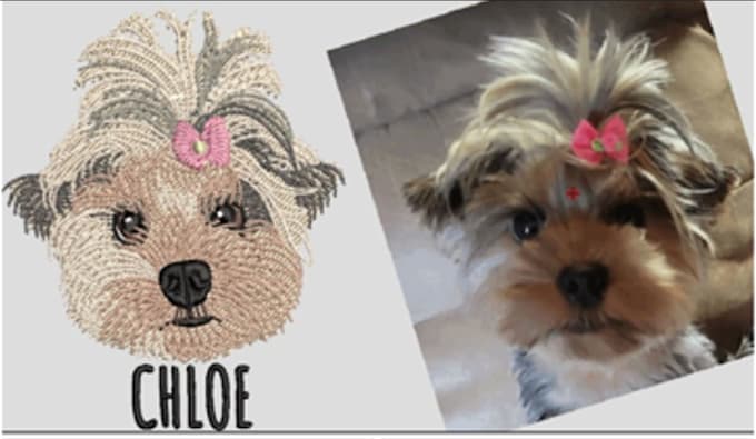 professionally digitize embroidery designs in wilcom