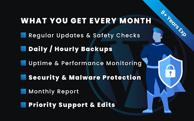 provide monthly wordpress maintenance, care and security