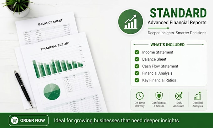 prepare professional financial statements in excel