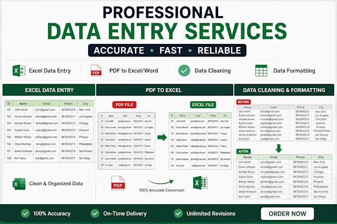 excel data entry and data formatting and data cleaning and copy pest pdf work