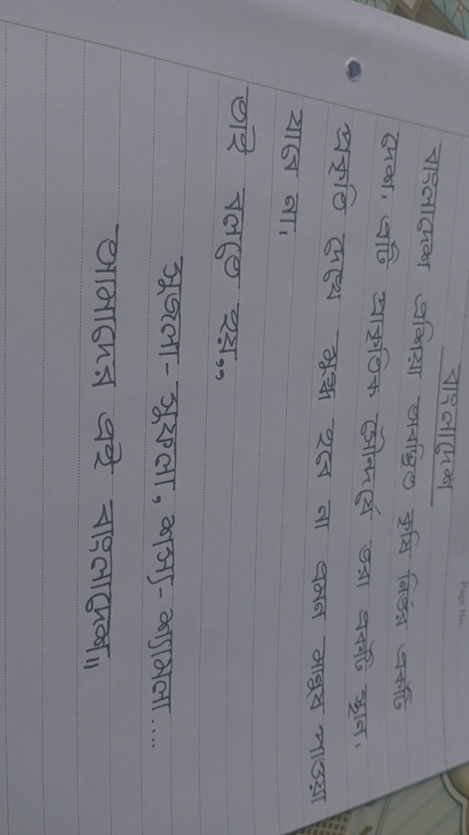 provide neat and beautiful handwritten notes, letter or project