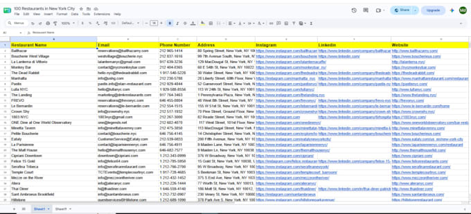 be your VA for google maps data entry, web research and web scraping