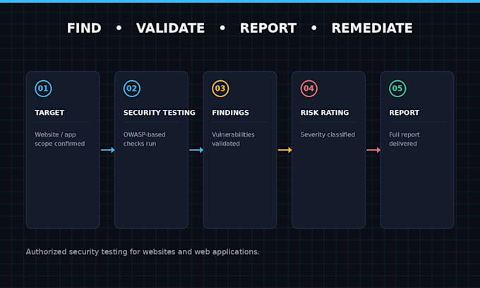 perform a professional web security audit and vulnerability assessment
