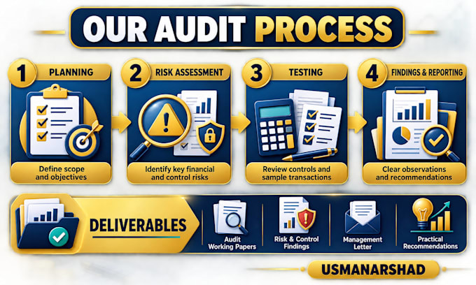 perform internal audit, external audit support, and financial review