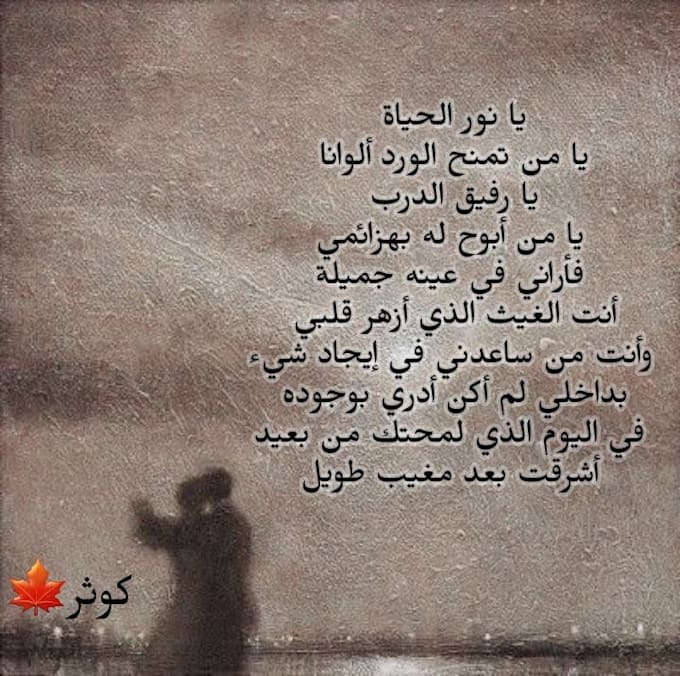 proofread and edit arabic texts