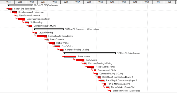 develop a professional project schedule on primavera p6