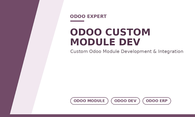 develop odoo website, odoo custom module, odoo crm and erp integration