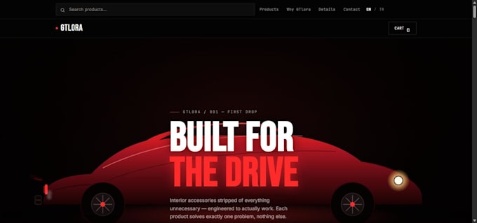 design and build a professional, high converting website