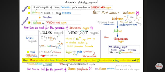 create neat handwritten study notes and educational charts