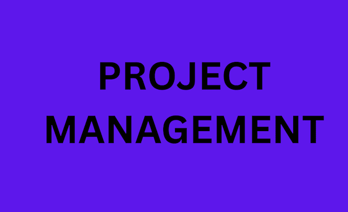 be your project manager