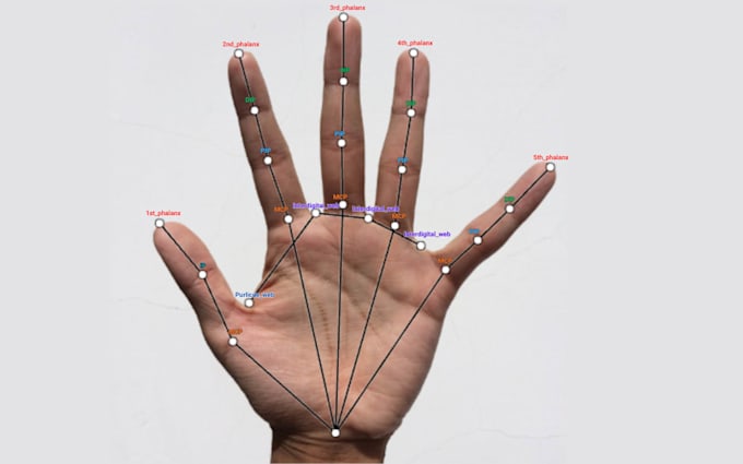 do pose estimation face and hand keypoint annotation