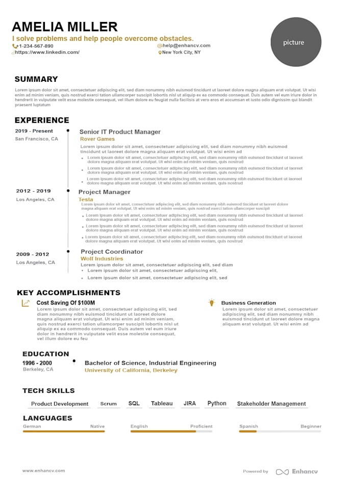 write and design a professional CV or resume