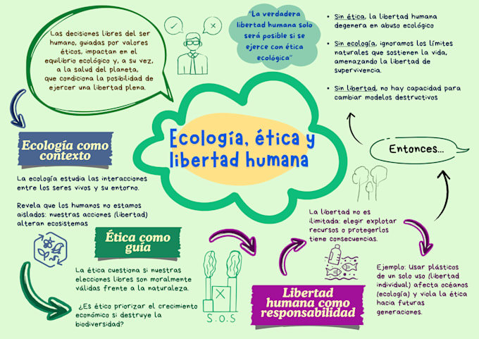 create engaging infographics and concept maps