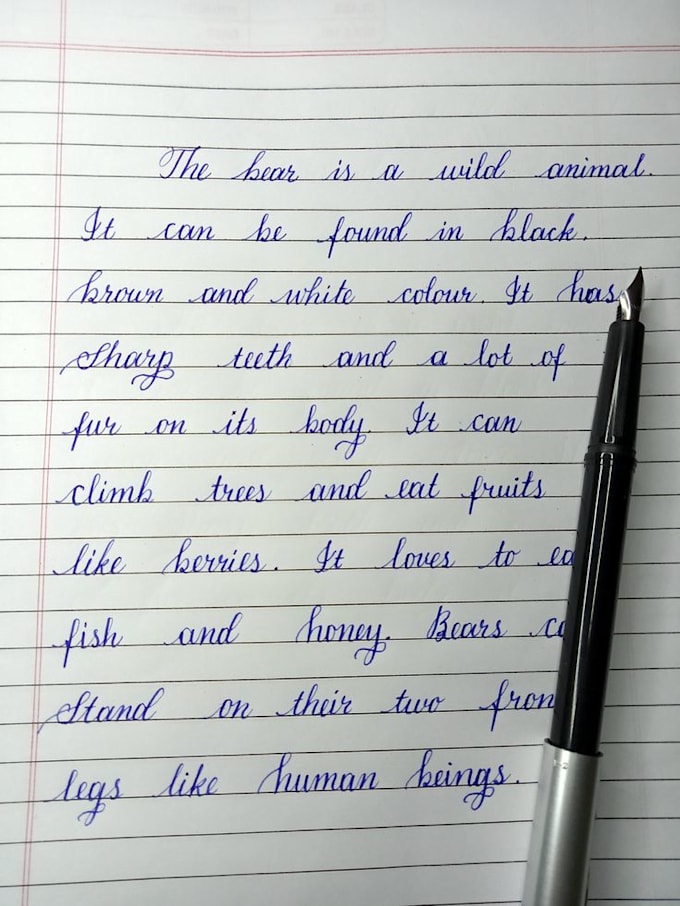 write anything with my beautiful handwriting