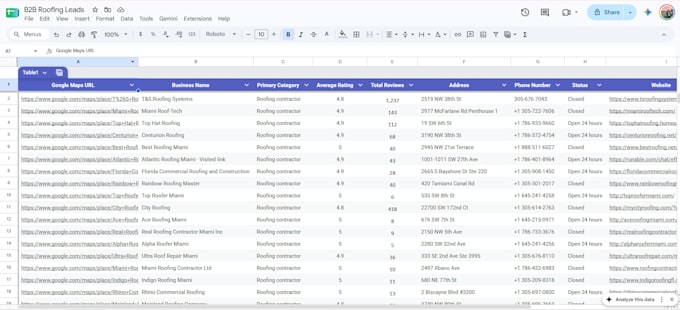 scrape google maps and build a targeted business lead list