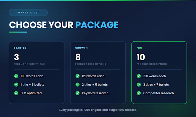 write compelling SEO product descriptions for your e commerce store