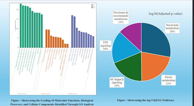 assist you in your bioinformatics projects