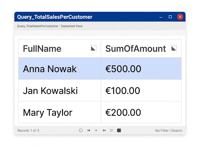 build custom microsoft access database app for your business
