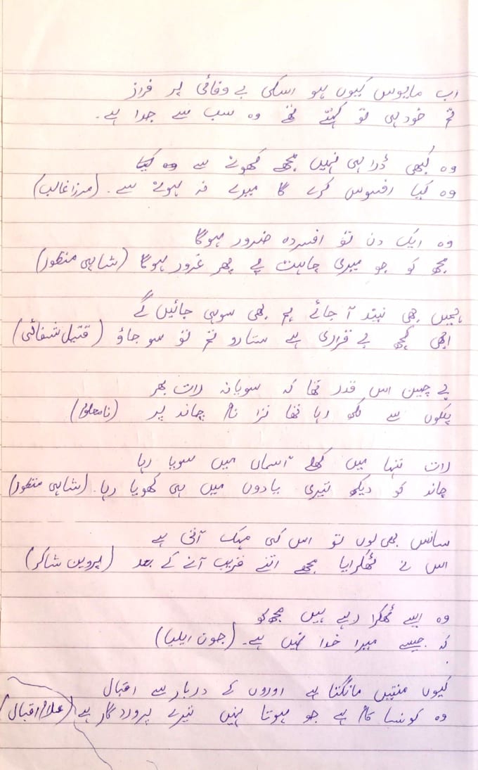 do beautiful handwritten sindhi, urdu notes and assignments