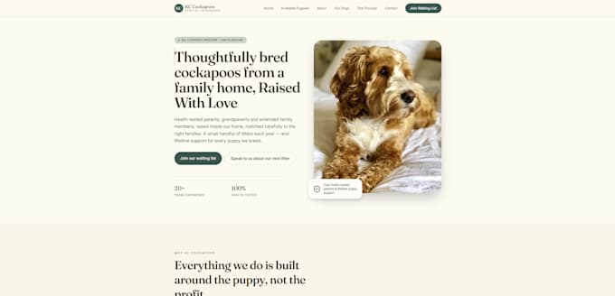 build you a free website