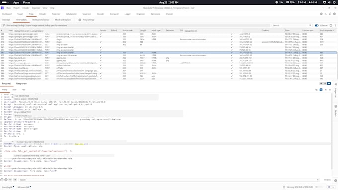 perform professional web application security testing