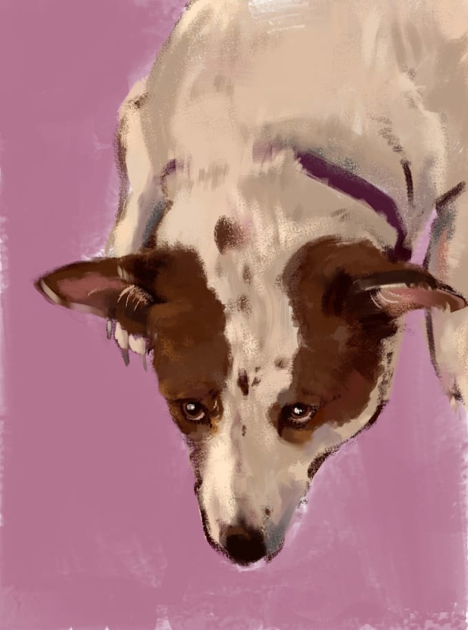 create a digital pet portrait for you