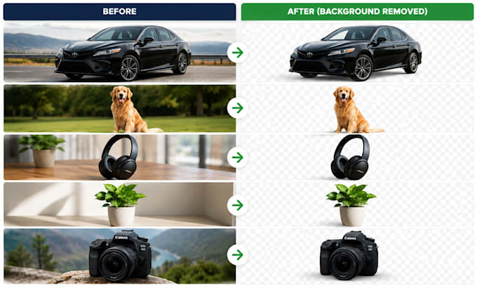 create professional canva presentations