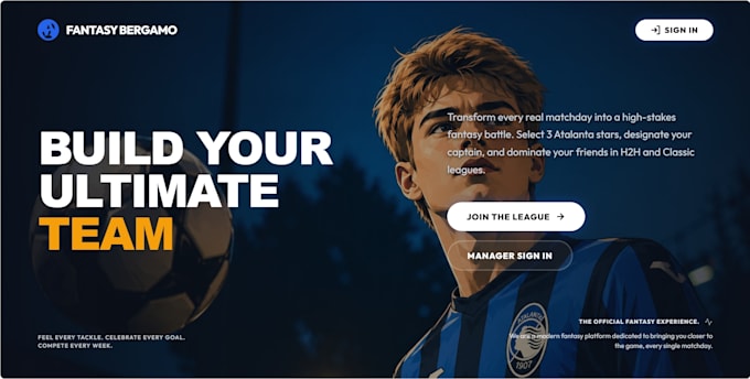 develop a stunning website for you
