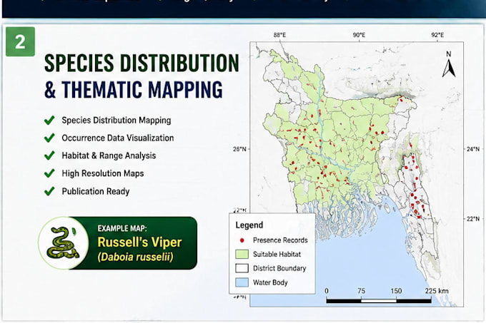 create professional gis maps and spatial analysis