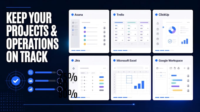 provide professional project and operations management support