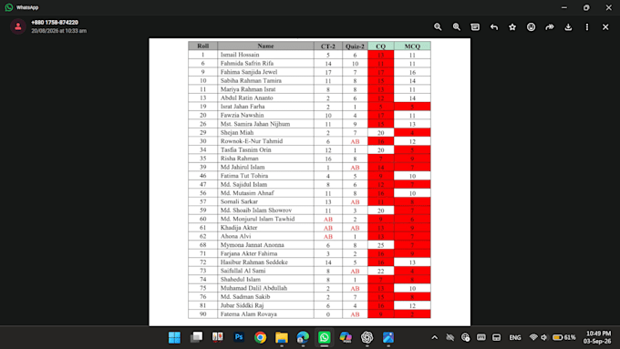 entry data excel and word with precision and polished