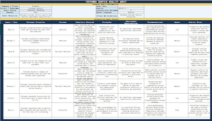 provide customer service QA audits
