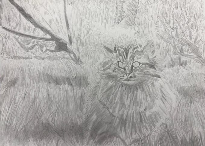 draw a realistic pencil portrait or pet drawing
