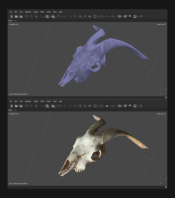clean photogrammetry scans and convert them into 3d meshes