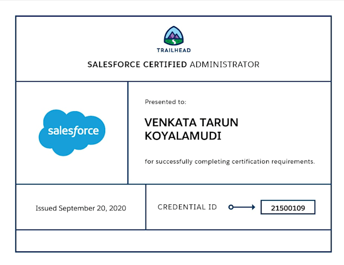 provide salesforce admin trainings and support works