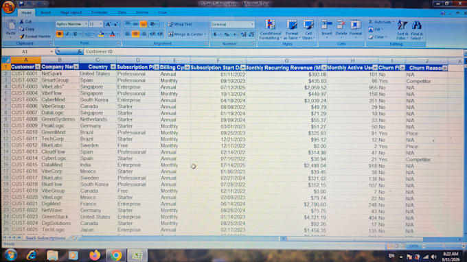 do professional data entry web research and copy paste work